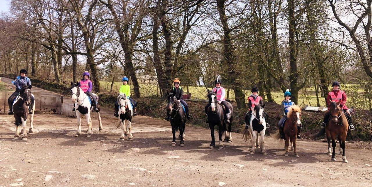 Wellsfield Farm Holiday Lodges Stirling Buitenkant foto