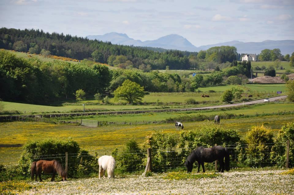 Wellsfield Farm Holiday Lodges Stirling Buitenkant foto
